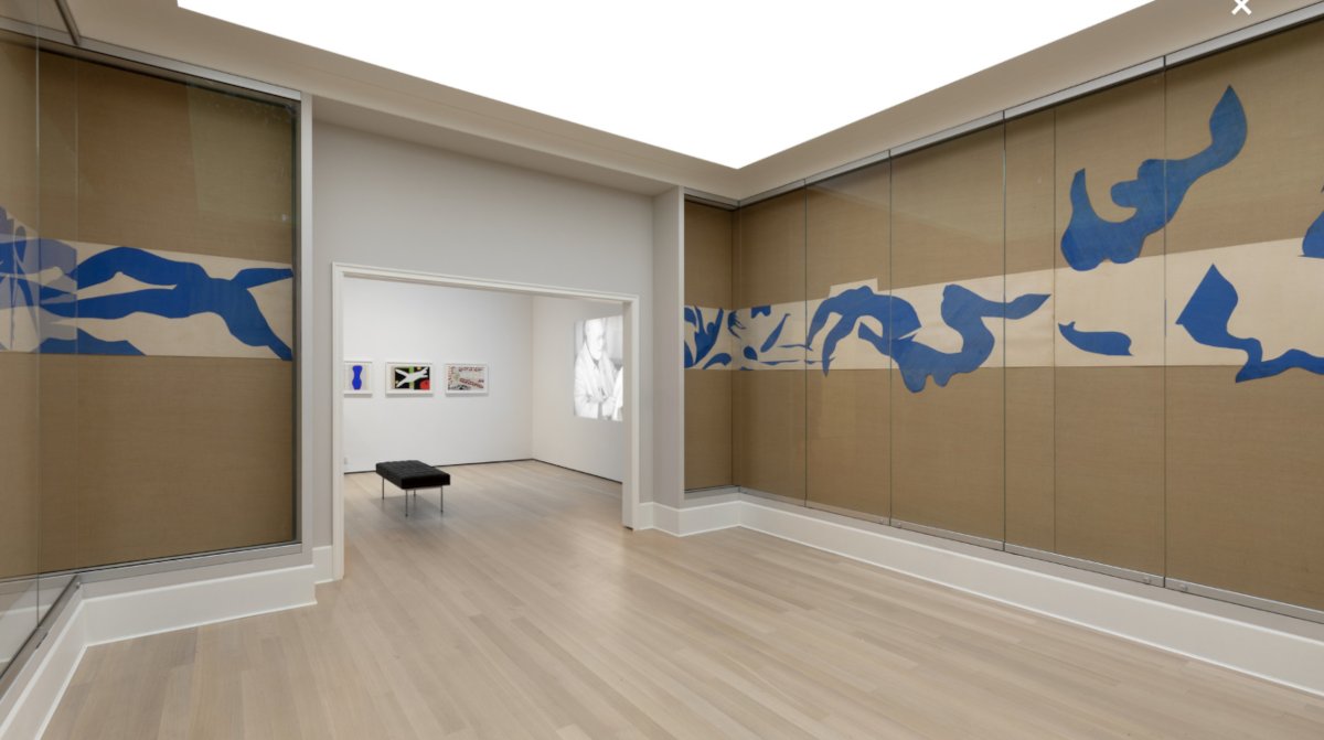 Badger's eye view: Diving into Matisse